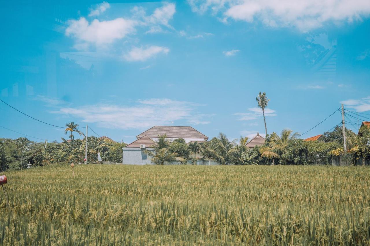 Gajah Villa By Betterplace Canggu Exterior foto